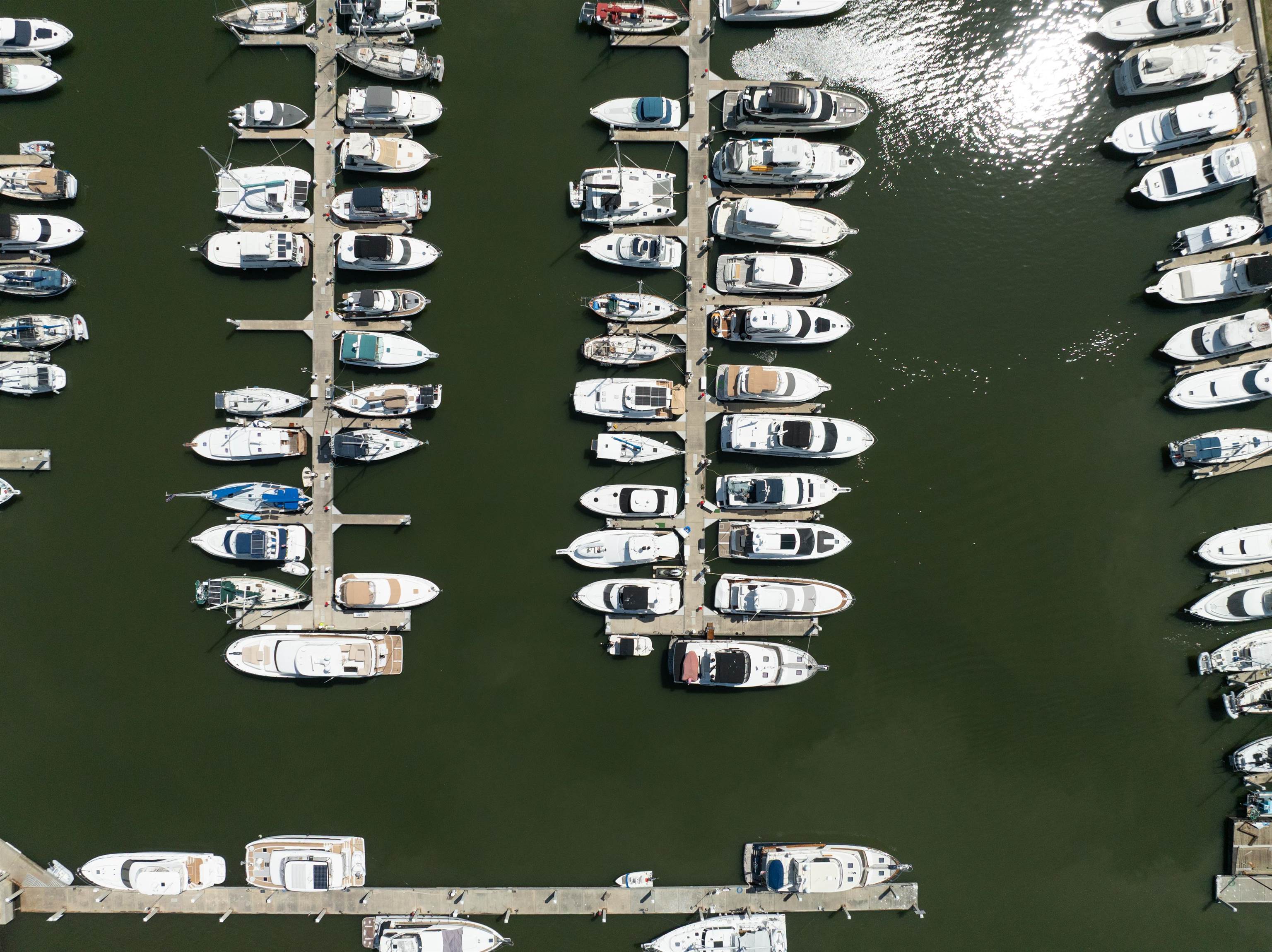 Image 51 of 75 For 225 Misty Harbor Trce