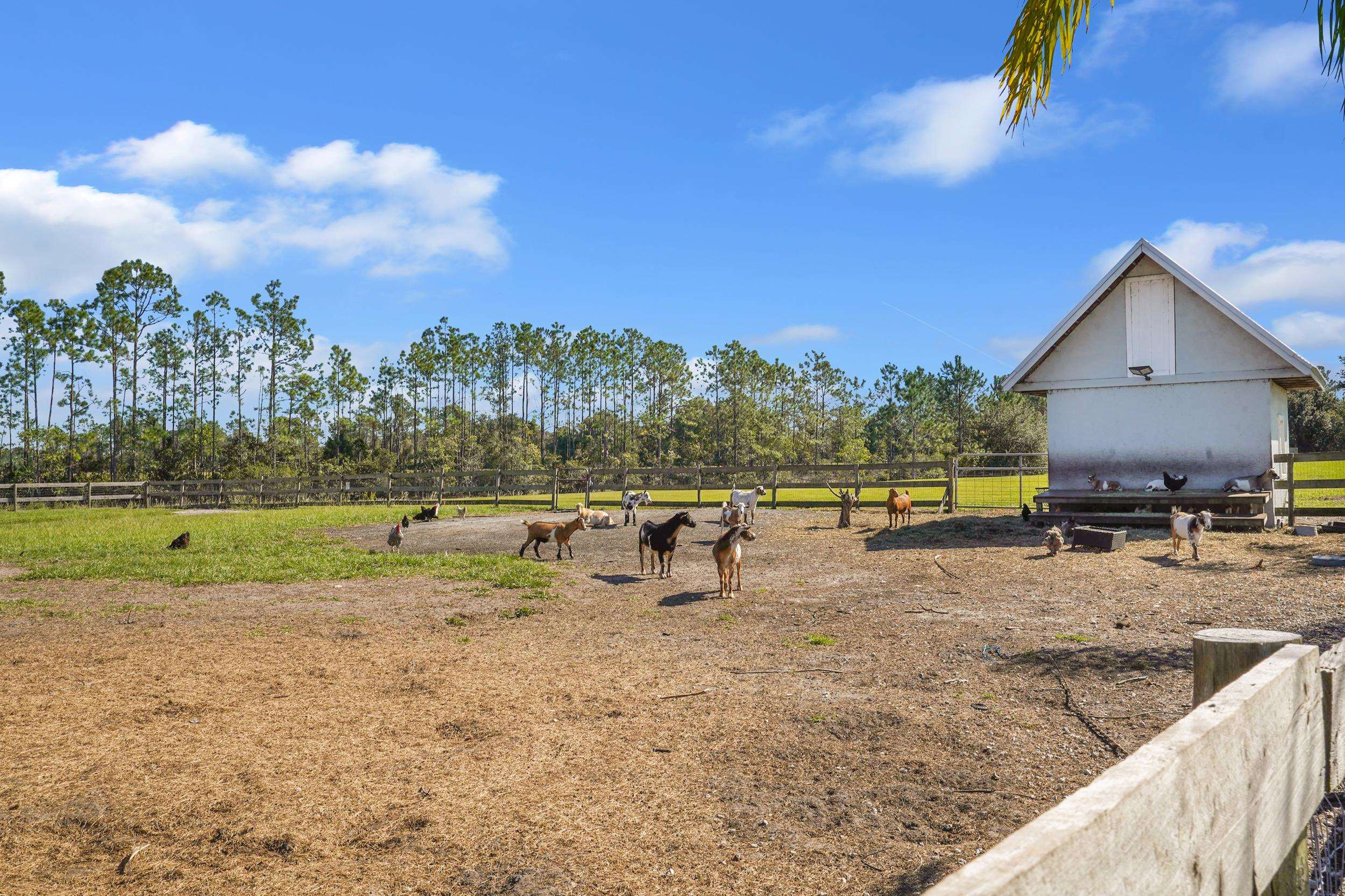 Image 60 of 61 For 11160 Us Highway 1 N Part