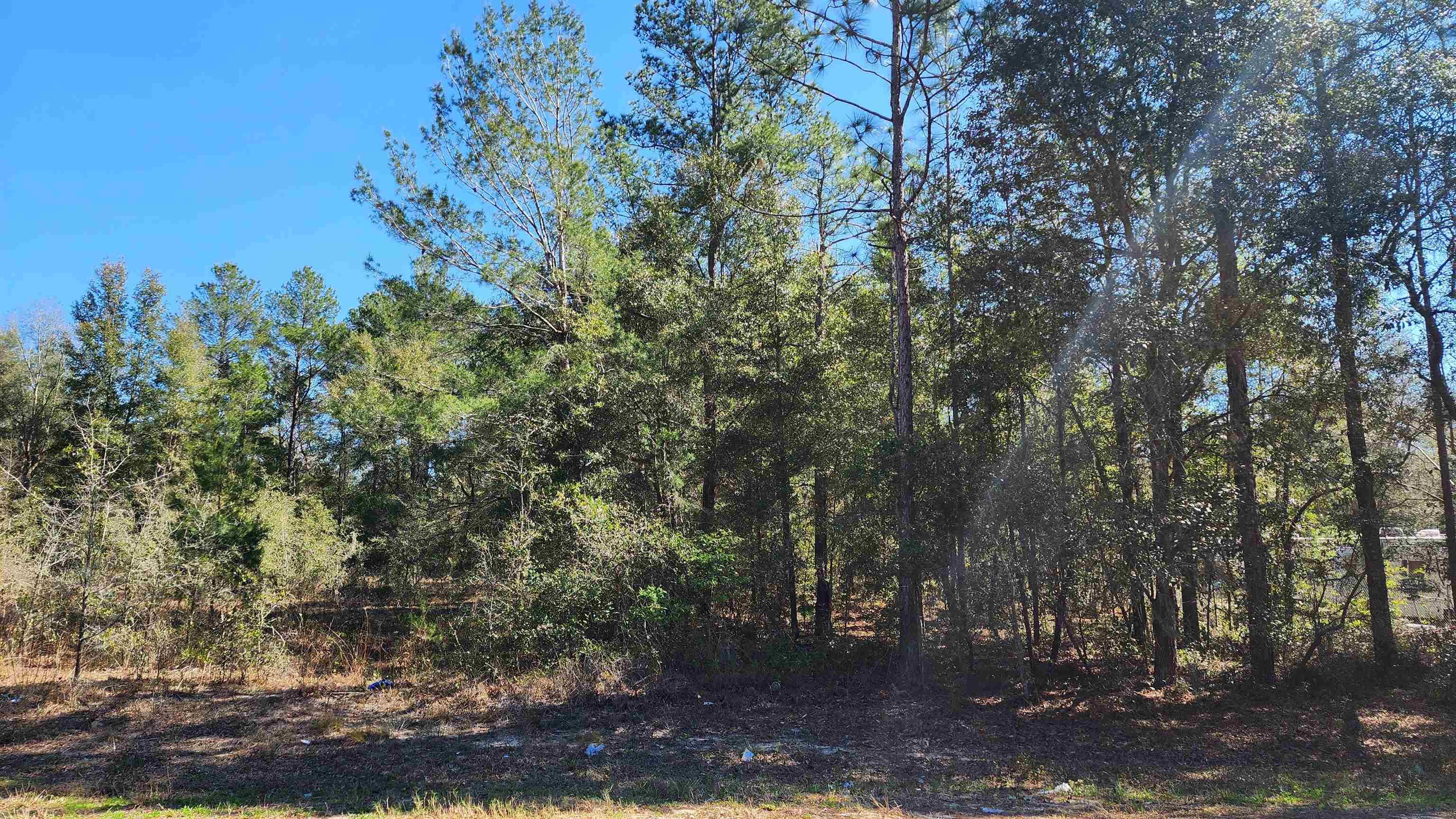 Listing Details for Dawn Ave , Interlachen, FL 32148
