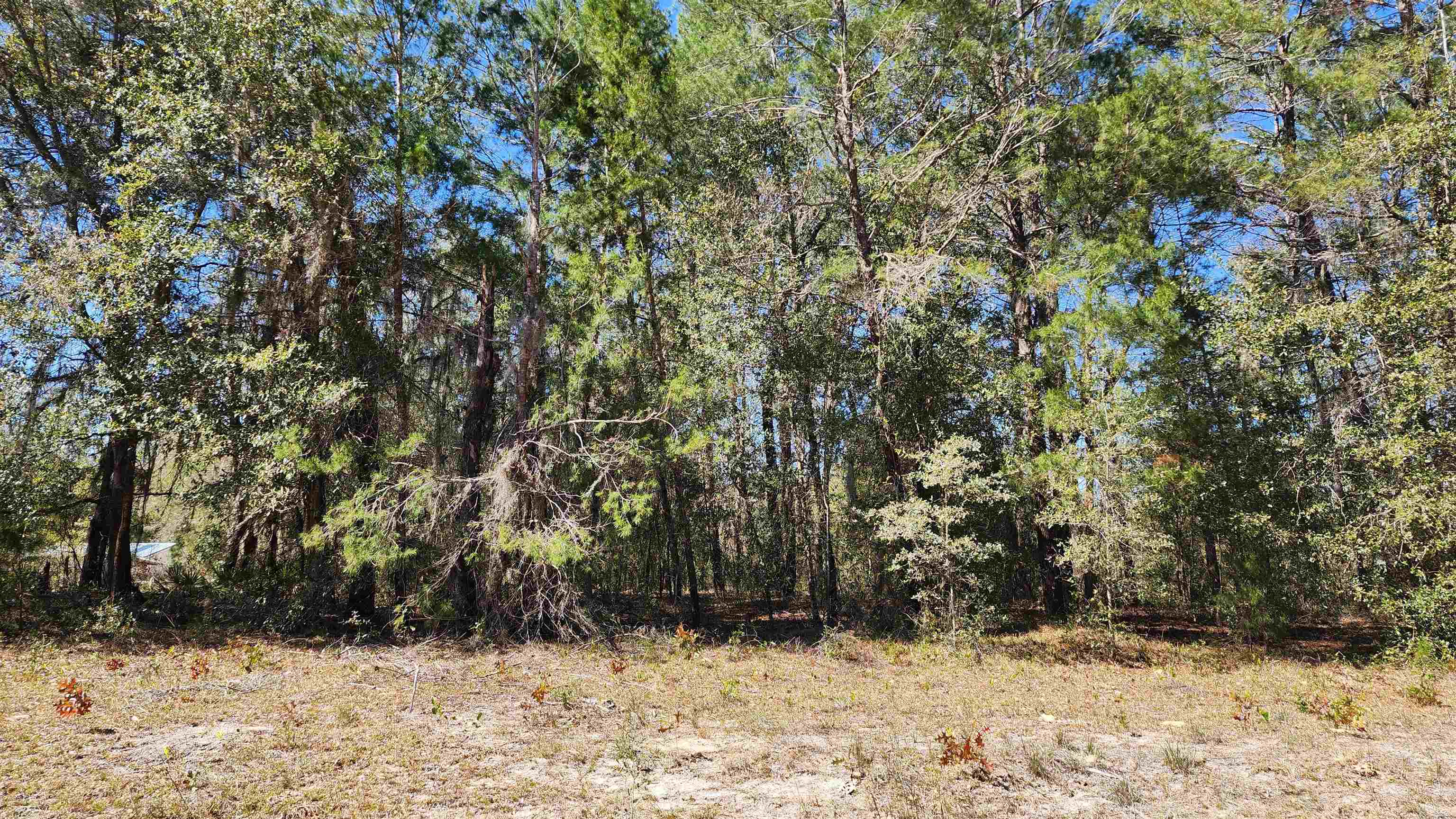 Listing Details for Kitty Ave , Interlachen, FL 32148