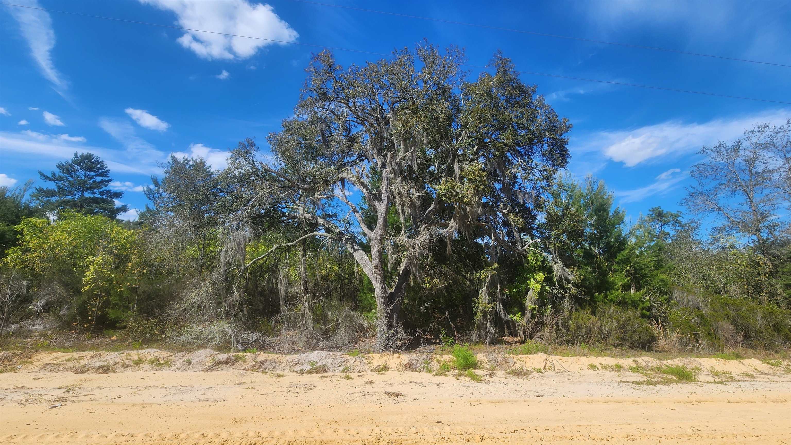 Details for 0 Birch St , Interlachen, FL 32148