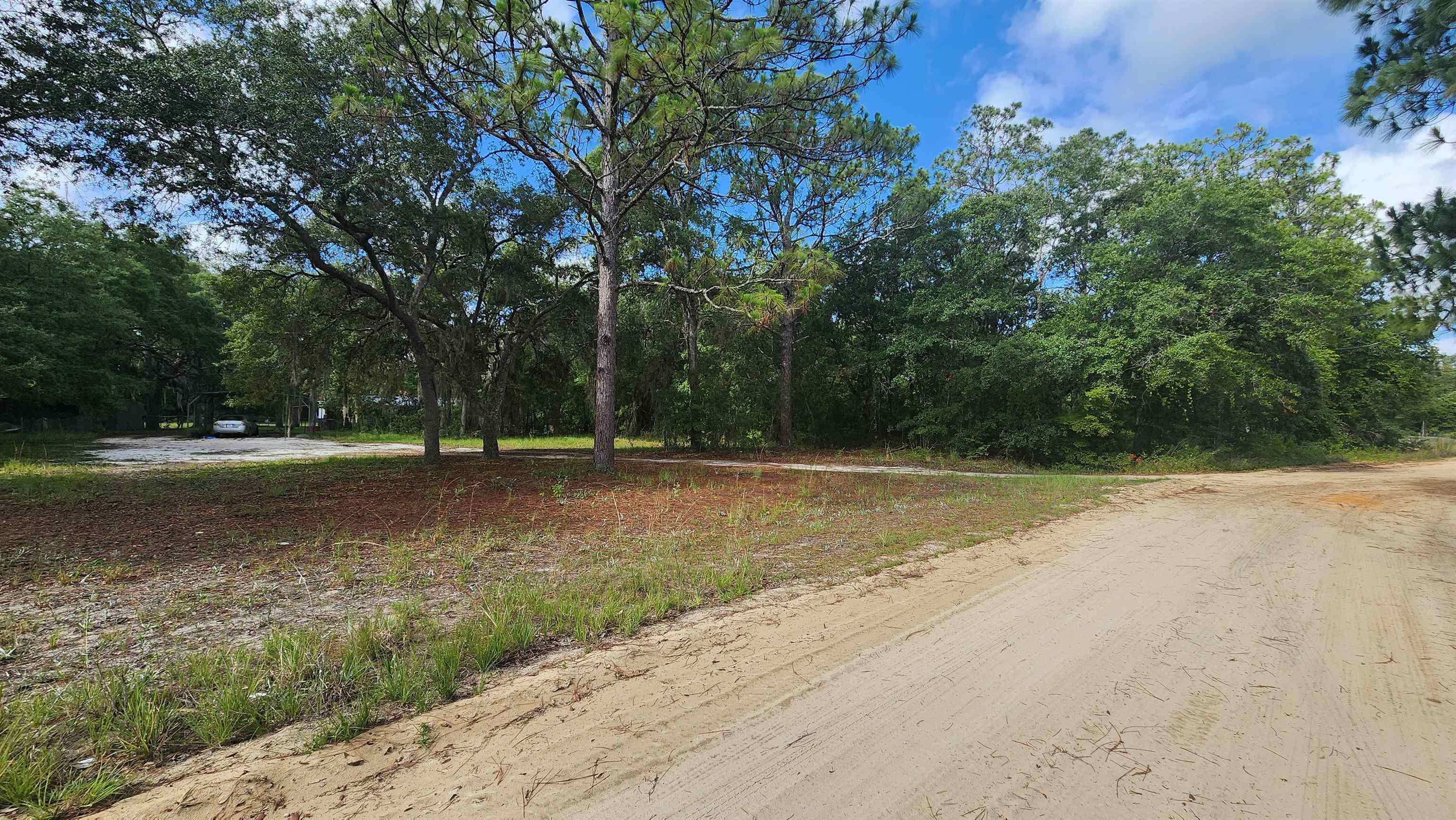 Details for 0 Britt St , Interlachen, FL 32148