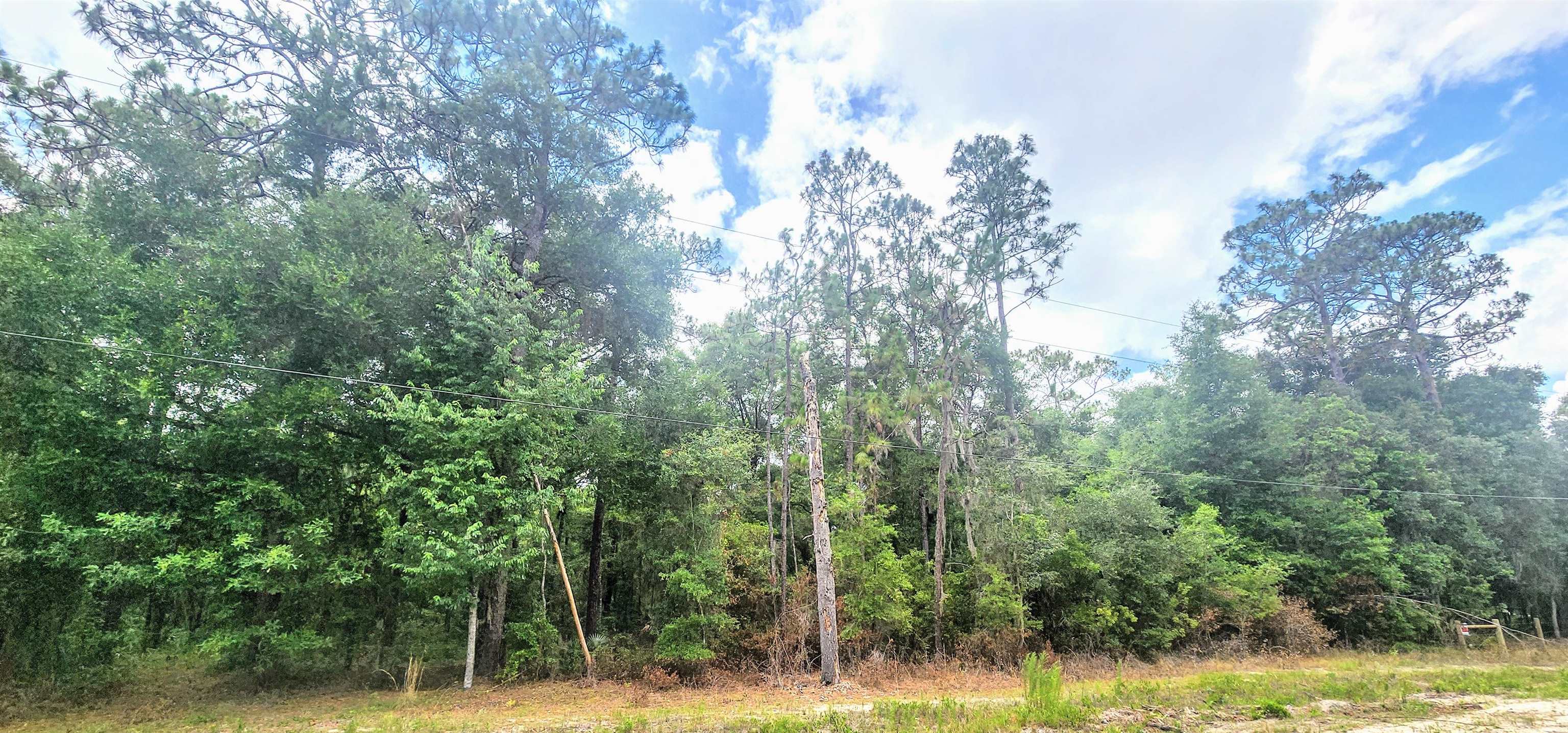 Details for 415 Pheasant Rd, Satsuma, FL 32189