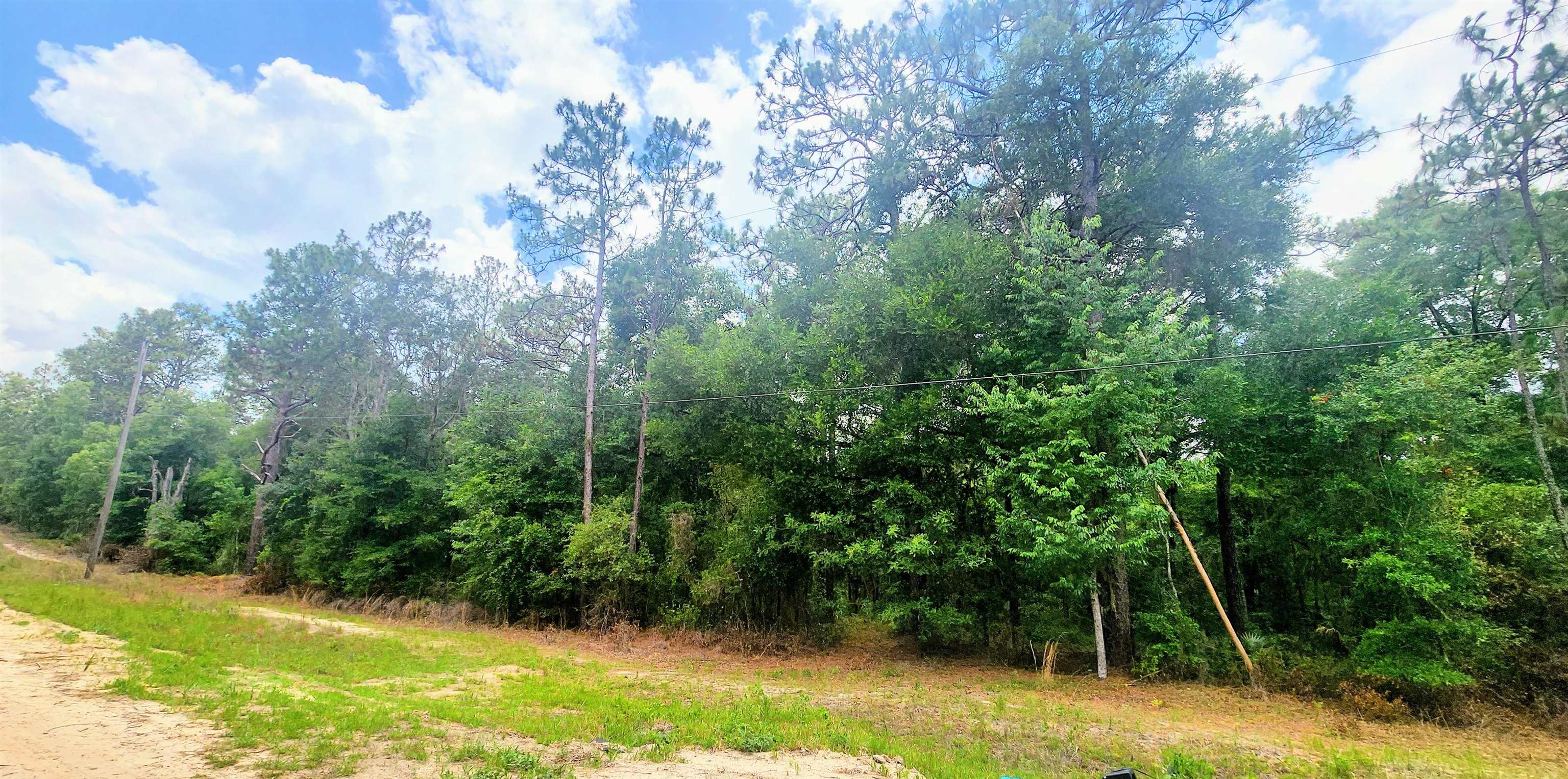 Details for 417 Pheasant Rd, Satsuma, FL 32189