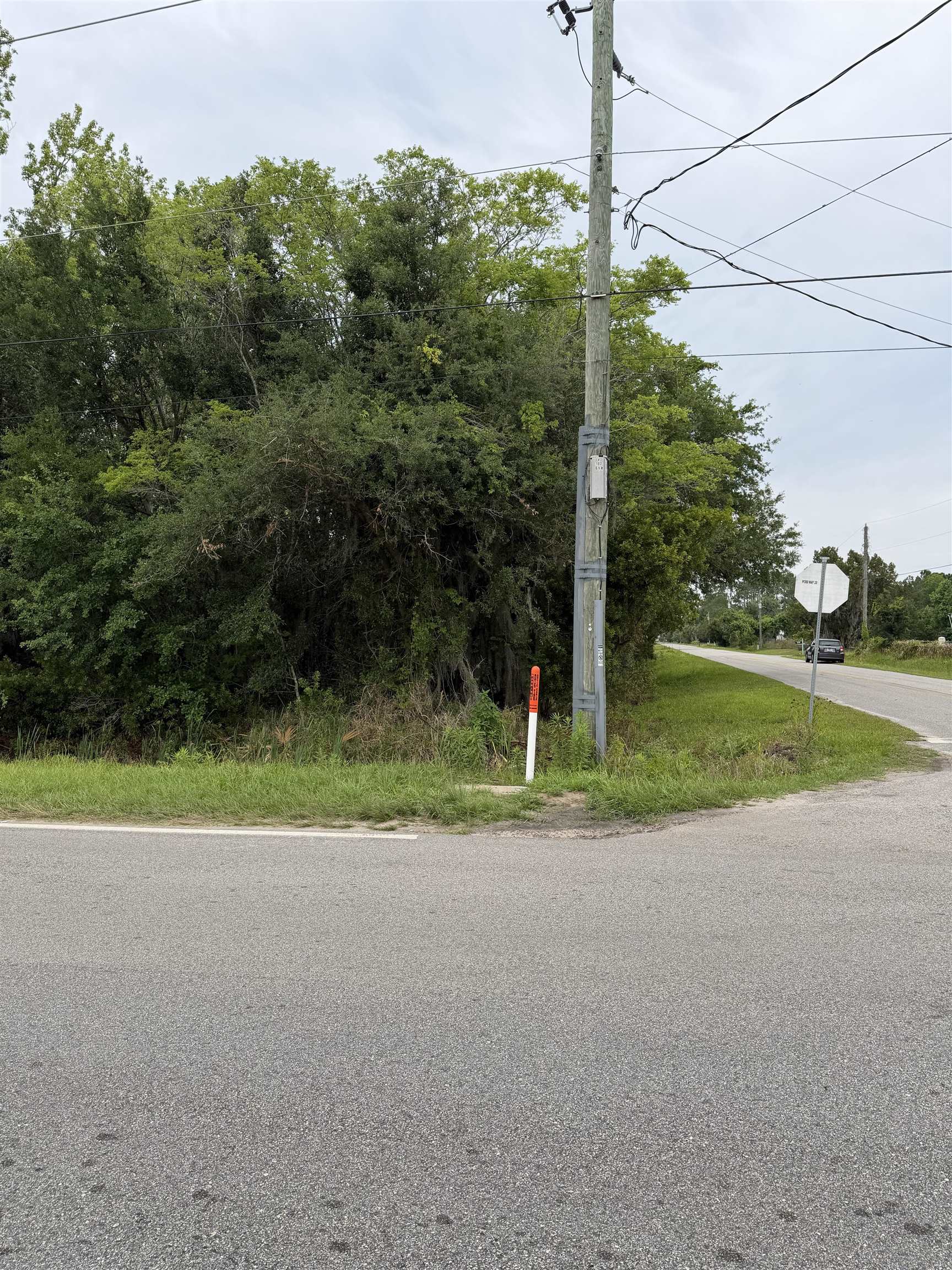 Image 11 of 14 For 158 Cracker Swamp Rd E