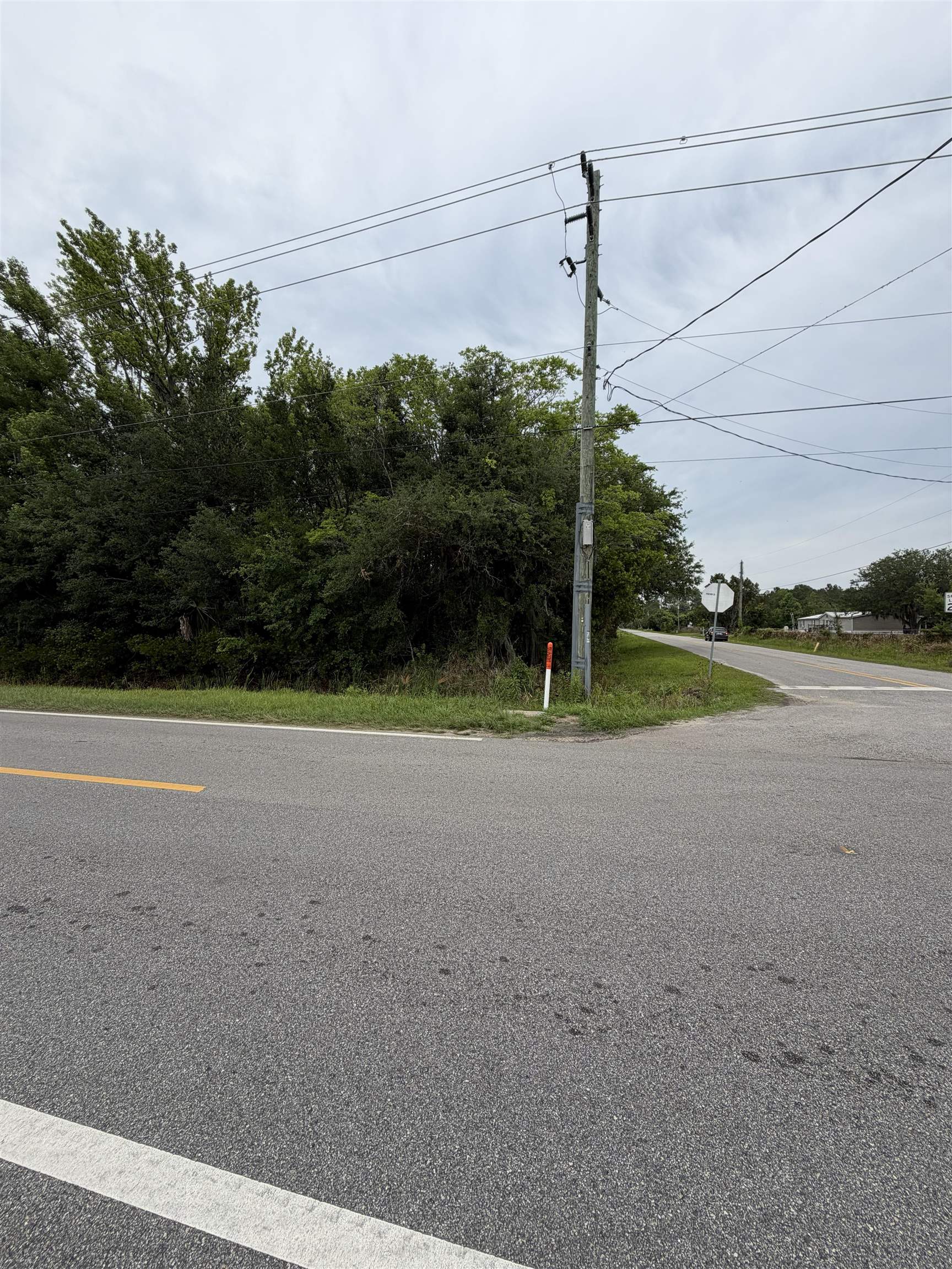 Image 13 of 14 For 158 Cracker Swamp Rd E